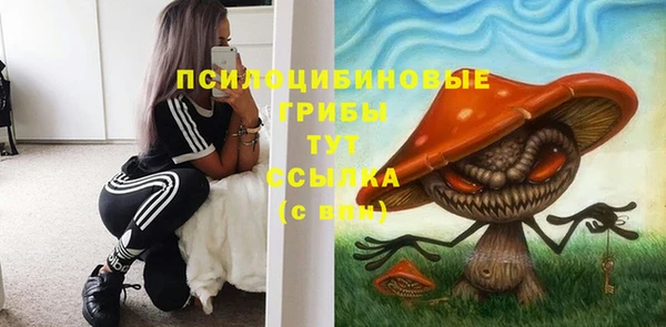 2c-b Алзамай