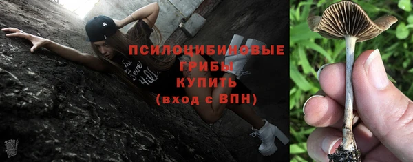 мяу мяу мука Алексин