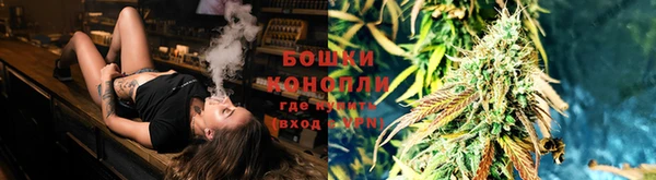 2c-b Алзамай
